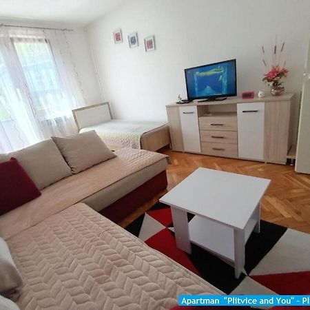 Apartman "Plitvice And You" Plitvicka Jezera Exterior photo