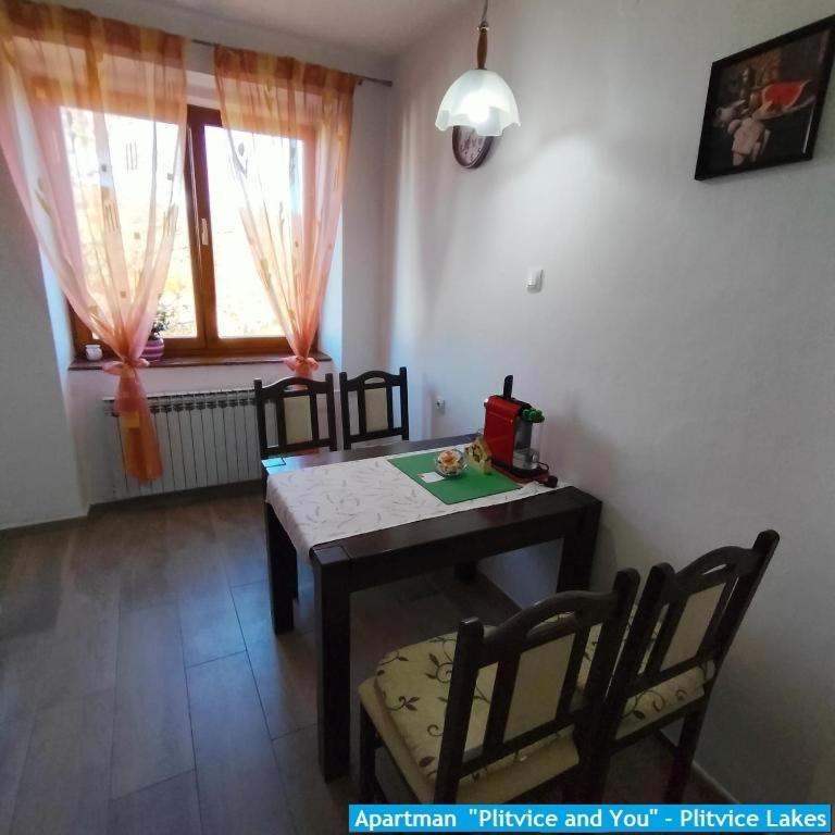 Apartman "Plitvice And You" Apartment Plitvicka Jezera Exterior photo